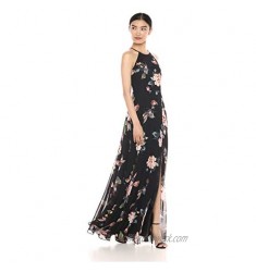 Jenny Yoo Women's Kayla A-line Halter Floral Printed Chiffon Long Dress