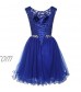Ailidaw Women's Tulle Homecoming Dress Short Applique Beaded Formal Prom Cocktail Party Gowns Junior