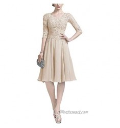 Lace Applique Mother of The Bride Dresses Knee Length Pleated Waist with Mesh Sleeves