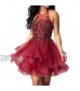 LeoGirl Womens Lace Illusion Short Prom Dress Junior Sweet Ruffled Ball Gown