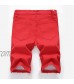 Men's Distressed Ripped Denim Short Summer Cotton Straight Fit Washed Jeans Shorts Wrinkle Performance Jean Shorts (Red 2 40)