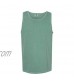 Comfort Colors Men's Adult Tank Top Style 9360 (X-Large Light Green)