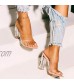 Cape Robbin Shoes Fusion Translucent Block High-Heel Mule Open Toe Sandal (Nude Numeric 9)
