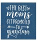 The Best Moms Get Promoted to Grandma T Shirt Women Grandmother Gift Shirt with Funny Saying Casual Tee Top